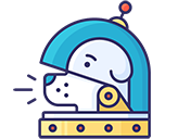 dog icon